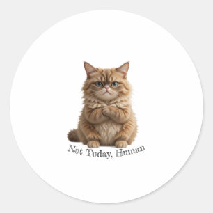 Adesivo Gato Grumpy "Não Hoje, Humano" Pau Engraçado Fluff