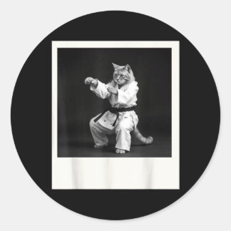 Adesivo Gato Jiu Jitsu Karate Taekwondo Gráfico Engraçado