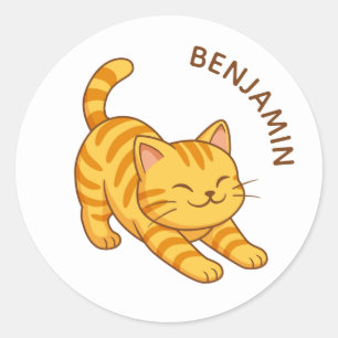 Adesivo Gato Laranja Listrado Esticado Nome Personalizado