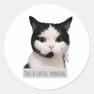 Adesivo gato meme