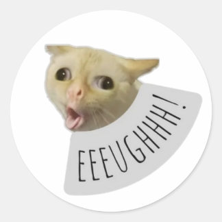 Adesivo gato meme engraçado