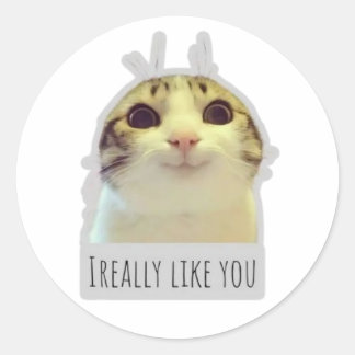 Adesivo gato meme engraçado