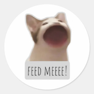 Adesivo gato meme engraçado