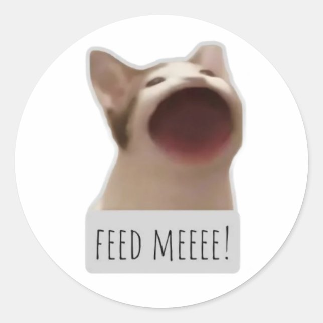 Adesivo gato meme engraçado (Frente)