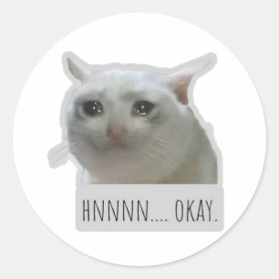 Adesivo gato meme engraçado