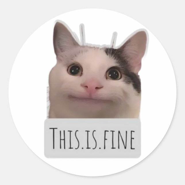 Adesivo gato meme engraçado (Frente)