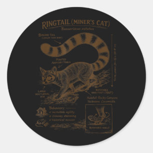 Adesivo Gato Mineiro de Cauda Anelada Anatomia Vida Selvag