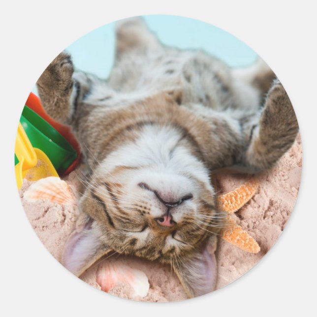 Adesivo Gato na praia e céu azul (Frente)