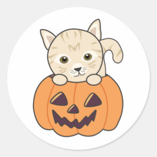Adesivo Gato Na Pumpkin Gatos Doce Feliz Dia das Bruxas Cl