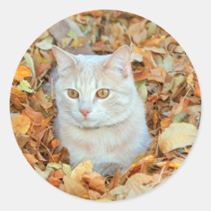 Adesivo Gato nas folhas