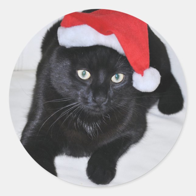Adesivo Gato Negro com Chapéu Vermelho do Pai Natal (Frente)