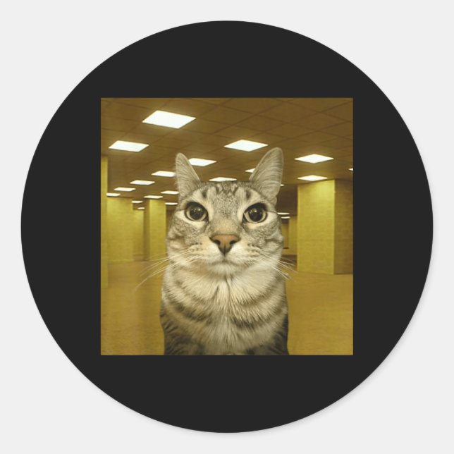 Adesivo Gato No Espaço Liminal Dos Fundos Meme Engraçado D (Frente)