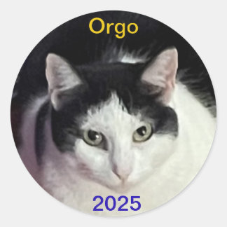 Adesivo Gato ORGO
