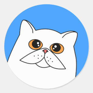 Adesivo Gato Persa Branco com Olhos Laranja