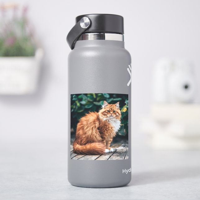 Adesivo Gato Persa Laranja (HidroFlask)