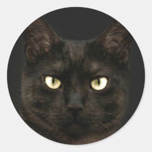 Adesivo Gato preto assustador