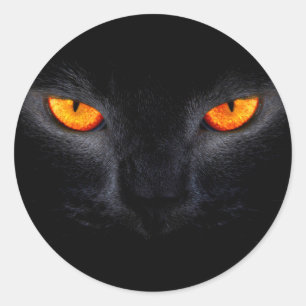 Adesivo Gato Preto com Olhos Laranja