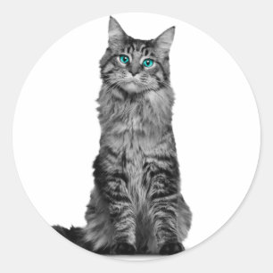 Adesivo Gato preto e branco com olhos verdes