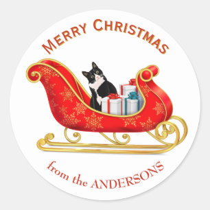 Adesivo Gato Preto e Branco Divertido no Trenó de Natal