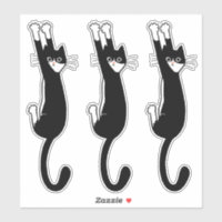 Gato Preto e Branco Seguindo | Engraçado Tuxedo Ca