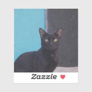 Adesivo Gato Preto Surpreso