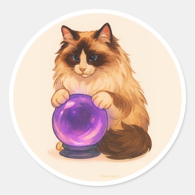 Adesivo Gato Ragdoll com bola de cristal roxa (Frente)