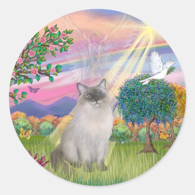Adesivo Gato Ragdoll (Ponto Azul) - Anjo das Nuvens (Frente)