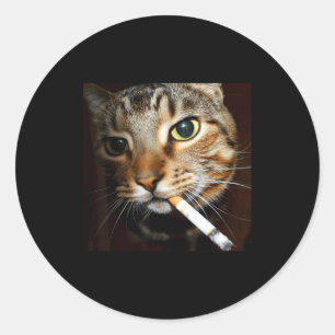 Adesivo Gato sarcástico engraçado fumando meme humor negro