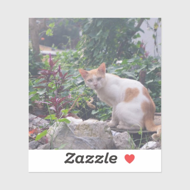 Adesivo Gato Sentado em uma Borracha de Pedras (Folha)