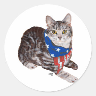 Adesivo Gato Tabby American Shorthair Patriótico