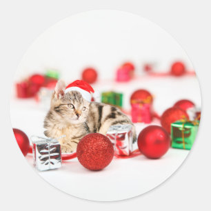 Adesivo Gato usando enfeite de Natal chapéu vermelho de Pa