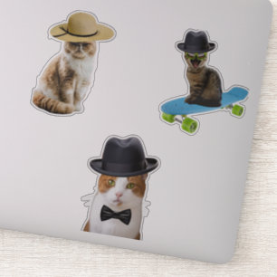 Adesivo Gato Vestindo chapéu