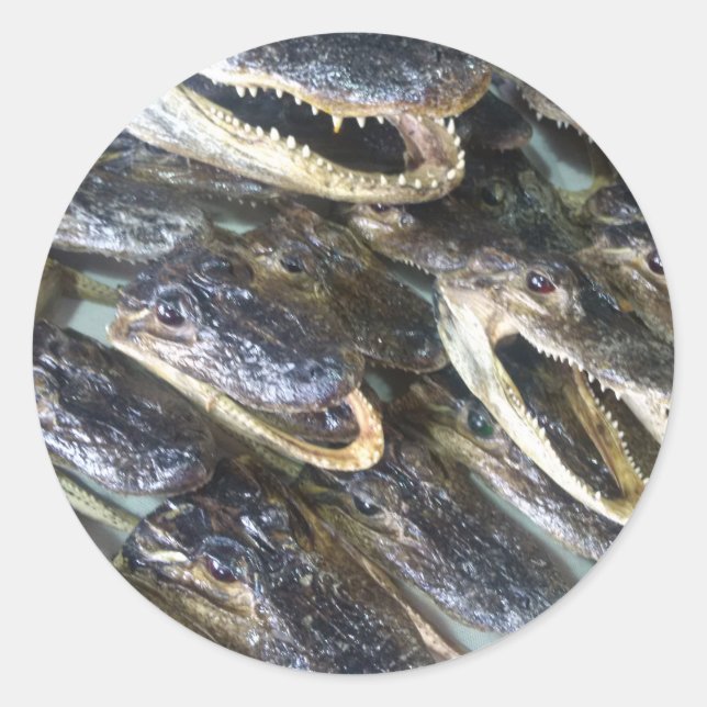 Adesivo Gator Head Sticker (Frente)