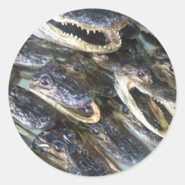 Adesivo Gator Head Sticker