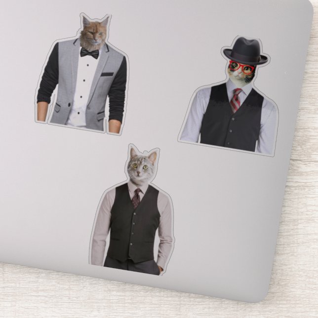 Adesivo Gatos Bonitos Em Fatos (Detalhe)