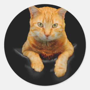Adesivo Gatos Criativos De Gatos Motif Bag Cat