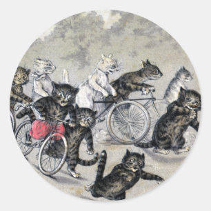 Adesivo Gatos da equitação da bicicleta