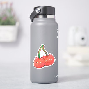 Adesivo Gatos De Fruta De Cereja