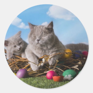 Adesivo Gatos de páscoa
