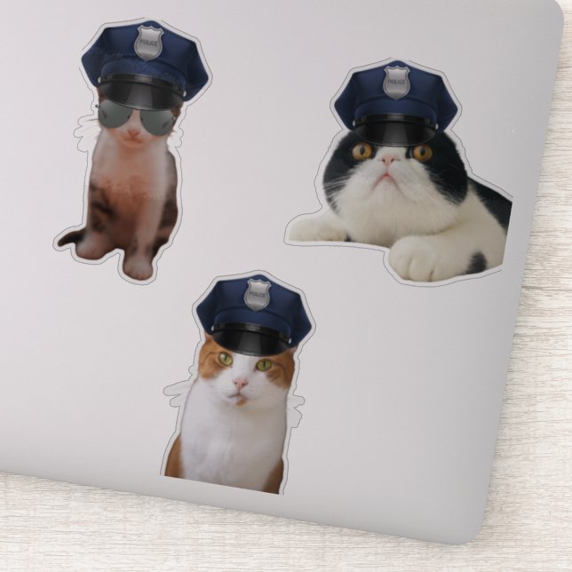 Adesivo Gatos Engraçados (Detalhe)