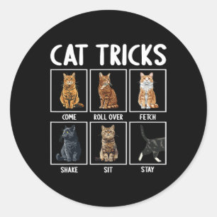 Adesivo Gatos Engraçados Truques De Gato