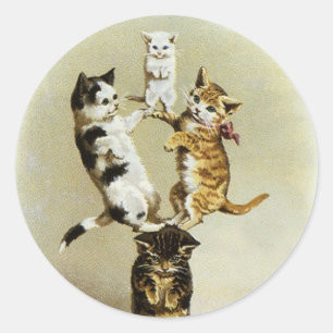 Adesivo Gatos Gatinhos Vitorianos Fofos Brincando, Humor