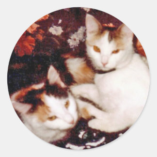 Adesivo Gats Sticker