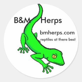 Adesivo gecko, B&M Herps, bmherps.com, répteis em t...