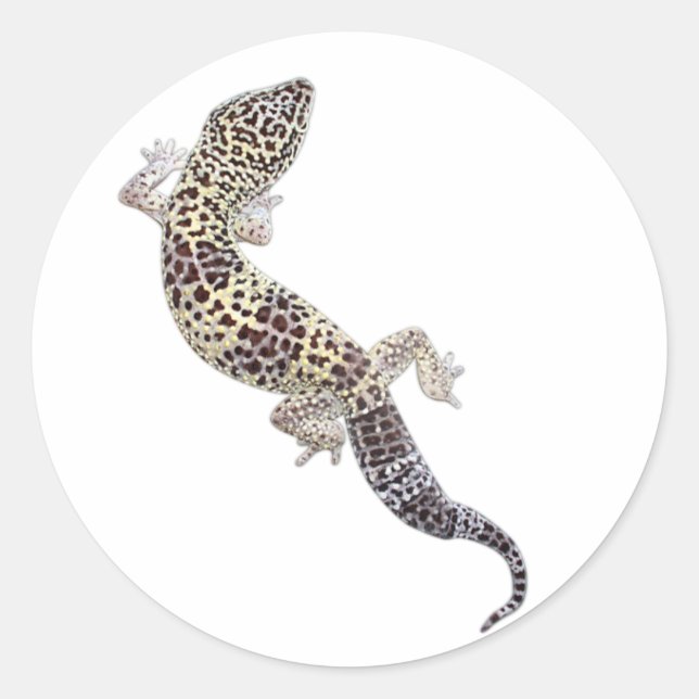 Adesivo Gecko Stickers 01 (Frente)