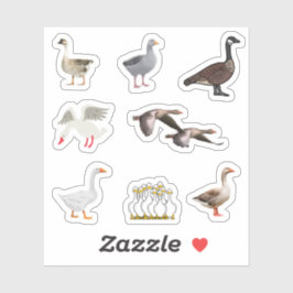 Adesivo Geese Stickers