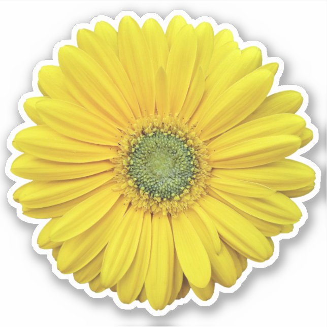 Adesivo Geleia Amarelo Daisy Flower Kiss-Cut Sticker (Frente)