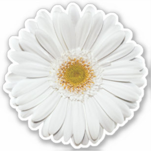 Adesivo Geleiro branco Daisy Flower Kiss-Cut Sticker