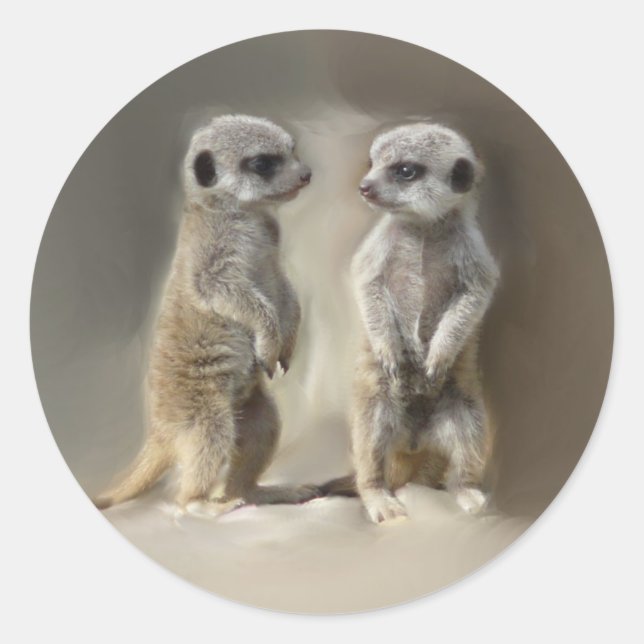 Adesivo Gêmeos bebês Meerkat (Frente)