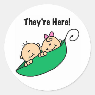 Adesivo Gêmeos Estão Aqui